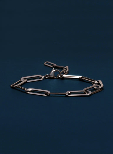 Waterproof Large Stainless Steel Adjustable Clip Chain Bracelet